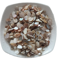 Vente en gros de copeaux de coquillages naturels recyclés de 3-5 mm, pierres de nacre, écologiques, non toxiques, matériau de pavage pour les parcs