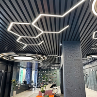 Système de plafond à lamelles en aluminium courbées, résistant à la corrosion, panneaux de plafond métalliques pour la décoration des aéroports, des centres commerciaux, des halls d'hôtels