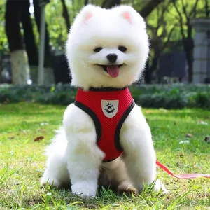 Petit Chiot Moyen Réfléchissant Breakaway <span class=keywords><strong>Harnais</strong></span> Gilet avec Laisse Ensemble Solide Polyester Maille <span class=keywords><strong>pour</strong></span> Chiens Toutes Saisons - Product Image 1