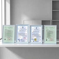 Esencia de Pollo Granulada Seca y Mezclada, Personalizable Directo de Fábrica, Sabor a Esencia de Pollo, Alta Calidad, Certificación ISO9001, 1 kg