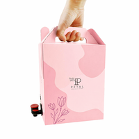 Pochettes personnalisées 3L 5L en boîte, anti-humidité, thermoscellables, en PE, avec valve distributeur pour vin, bière, jus, boissons énergisantes, impression par gravure