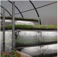 Panneau lumineux LED à spectre complet personnalisé de 46 W pour la croissance des plantes d'intérieur et des semis