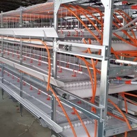 Cage à poulets HENGQI de type H entièrement automatique à 4 niveaux en acier galvanisé avec garantie de 2 ans
