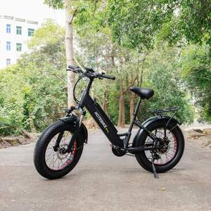 Mejor calidad 48V rápido e-bike 21 velocidad de neumáticos gordos <span class=keywords><strong>ebike</strong></span> retro bicicleta eléctrica <span class=keywords><strong>remolque</strong></span> - Product Image 1