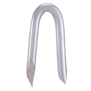Unghie lucidate 17x35 mm. - Product Image 1