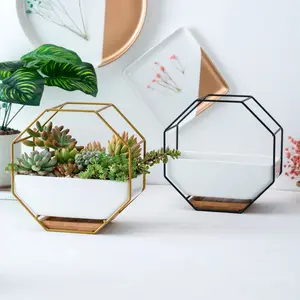 Creative Octagonal Wall Hanging Decor Wholesale Succulent Planter Ceramic Flower Pot Plant Pots