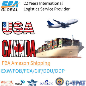 Agente de Envío de FBA Amazon a EE. UU. y Canadá, DDP, Dropshipping, Transporte Aéreo, Servicio de Logística y Almacenamiento - Product Image 1