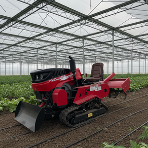 Tracteur miniature à chenilles télécommandé à 8 canaux, moteur QUANCHAI, meilleur <span class=keywords><strong>prix</strong></span>, petit tracteur de jardin pour serre, 35 CV, économique en carburant - Product Image 1
