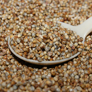 Millet perlé de qualité supérieure pour l'alimentation animale - Product Image 1