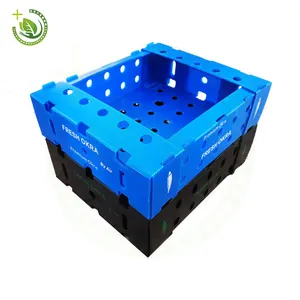 China Supplier Buy Cheap plastic Corrugated PpPackaging Banana Fruit Vegetable plastic Box For Packing