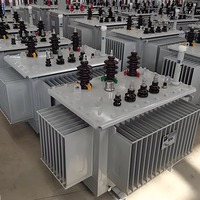 Transformador de Distribución Sumergido en Aceite S13 S20 S22 con 380V Trifásico, Núcleo CRGO Sellado, Dyn11, Cobre Aluminio, Baja Pérdida, Silencioso