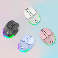 Souris de jeu transparente double mode T24 2,4 GHz BT Type-C RVB rétroéclairée rechargeable compacte ergonomique pour PC portable et bureau