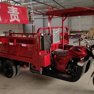 Tricycle de transport motorisé à 9 roues et 2 essieux de 350 cm³ / Tricycle de transport à benne basculante à 9 roues et double essieu arrière de 350 cm³ - Product Image 6