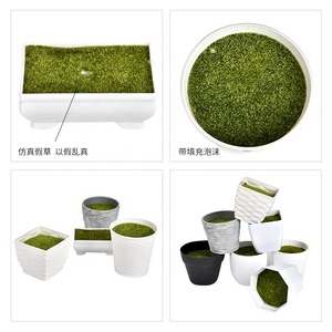 <span class=keywords><strong>Maceta</strong></span> de plástico de simulación de flores, suministro de fábrica, con espuma, planta de jardinería suculenta, <span class=keywords><strong>maceta</strong></span> pequeña - Product Image 2