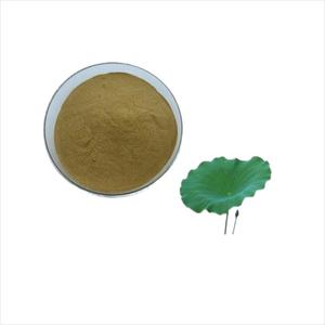 Lotusbladextract |   Nelumbine 1% tot 98% |   Totale Flavonoïden 10% tot 90% |   Natuurlijk gewichtsbeheersing |   Aanpasbaar bulkpoeder - Product Image 2