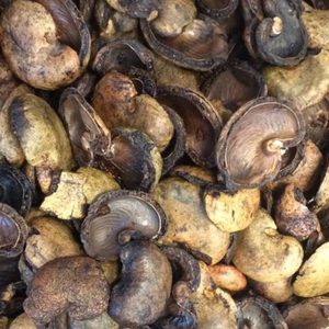 Best Price Cashew <b>Nut</b> Shell Residue/ Cashew Shell - Product Image 1