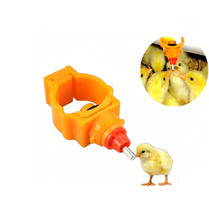Abreuvoir automatique pour poulets avec coupelle anti-goutte, abreuvoir à tétine pour volailles de ferme, pour <span class=keywords><strong>tuyau</strong></span> <span class=keywords><strong>PVC</strong></span> de 1/2 pouce et 3/4 pouce, équipement de ligne d'eau pour volailles - Product Image 2
