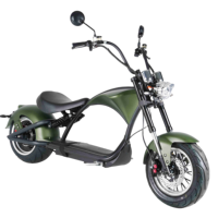 Motocicleta Eléctrica Plegable Loyal Intelligent GPS de 60V 30AH con Batería de Litio de 2000W, Resistente al Agua