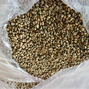 Venta al por Mayor de Granos de Café Verde Orgánico Arábica de Vietnam, Sin OMG, Grado A, a Granel para Tostar, Calidad Estable, Marca IIGLOBAL FARM - Product Image 4