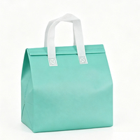 Sac isotherme personnalisé en non-tissé avec impression de logo, imperméable, pour la restauration rapide, sac de pique-nique, sac de transport, sac isotherme pour boissons