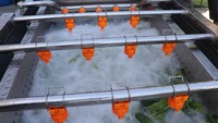 Multifunctionele Groenten Kreeft Wasmachine Wassen Citrus Reinigingsmachine Roestvrij Staal Kreeft Wasmachine