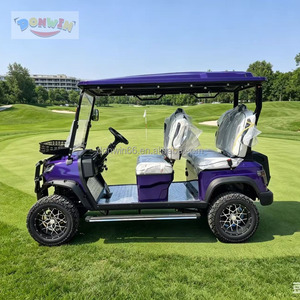 Carrito de Golf Eléctrico 4x4 con 4 Asientos, Todoterreno, Motor de 5KW, Batería de Litio de 60V, Compatible con Villas Vacacionales, Controlador Curtis, Aluminio - Product Image 2