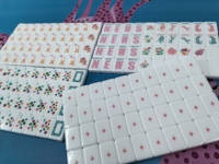 Mahjong Akrilik Putih Motif Bunga Botani Lucu 160 Ubin Kustom Warna-warni Gecko Joker Naga Bambu Dot
