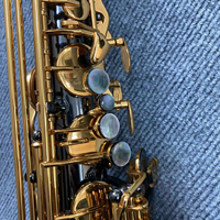 Professional Shiny EB Gold Lacquer Bell and Neck Premium Instrument Tenor Saxophone