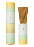 Cônes d'encens Nipponkodo aux feuilles de cerisier japonais et bambou, parfum ambregris, 30 bâtonnets, poudre d'encens aromatique pour la maison