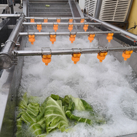 Continue bubbelwasmachine voor groenten en fruit voor automatische voedselverwerkingslijn