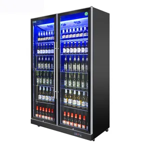 Hot Sales 2 Glass Doors Display refrigerator freezer Beverage commercial cooler Fan Cooling Used for Cold Storage