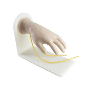 Alto grado di restauro di dettaglio della mano avanzata vena dorsale modello di iniezione nella scuola di medicina - Product Image 3