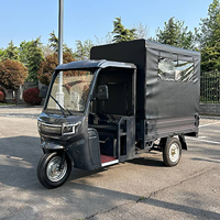 Tricycle électrique de livraison à 3 roues 1000W 60V avec auvent en toile et batterie au lithium pour la livraison du dernier kilomètre