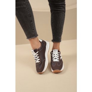 Chestnut color