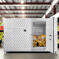 Commerciële Bananenrijpingsmachine Chambre Froide Koeleenheid Koelkamer Opslagcontainer Voor Groenten En Fruit