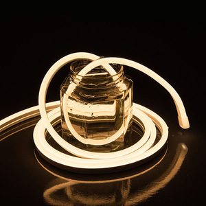 Luci al <span class=keywords><strong>Neon</strong></span> <span class=keywords><strong>LED</strong></span> Impermeabili per Esterni, Striscia <span class=keywords><strong>LED</strong></span> Flessibile ad Alta Tensione per Paesaggistica, AC110V 220V, Rotolo <span class=keywords><strong>da</strong></span> 100M 8*16mm - Product Image 4