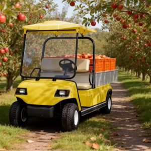 Nouvelle voiturette de golf A2.H8 à deux places, à une rangée, ouverte, pour le transport de marchandises, adaptée aux travaux agricoles ruraux, en ferme et en <span class=keywords><strong>plantation</strong></span>. - Product Image 4
