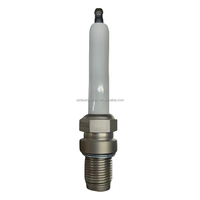 Pièce détachée 4380132 5544762 4390446 Bougie d'allumage préchambre pour générateur de gaz Cummins