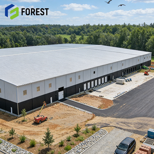 Parque Logístico a Gran Escala, Complejo de Edificios de Acero, Estructura Soldada de Alta Resistencia, Color Personalizado, Almacén de Gran Envergadura, Taller - Product Image 1