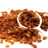 Raisins secs naturels purs de haute qualité en gros de l'usine Yuanfu en provenance de Chine