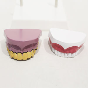 Modelo Comparativo de Dientes de Fumador, Modelo de Exhibición de <span class=keywords><strong>Salud</strong></span> Bucal, Modelo Educativo de Anatomía Dental - Product Image 2