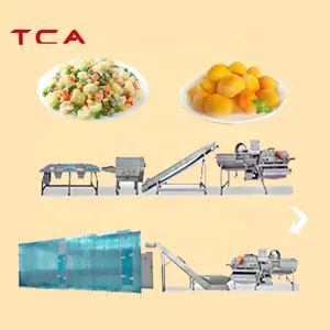 High End Frozen Fruit And Vegetables Processing Line IQF Mixed Vegetables Production Line
