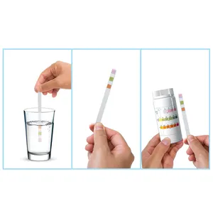 Oem Zwembad Water Test Strips Meest