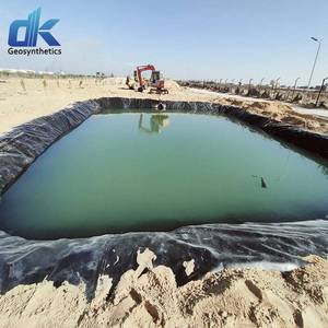 Revestimiento de estanque de peces Precio de Geomembrana de HDPE para lagos artificiales 0,75mm 0,5mm 0,3mm Revestimiento de estanque de Geomembrana - Product Image 5