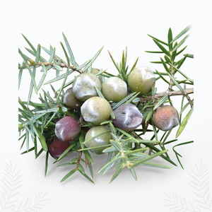 น้ำมัน cade juniperus oxycedus เป็นกลุ่ม - Product Image 1