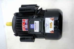 Motor de Inducción Monofásico de Servicio Pesado BI-3-CH 3HP 2.25KW 210-230V 18A 1440RPM 115mm con Marco CSCR TEFC y Soporte de Hierro Fundido - Product Image 5