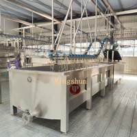 Équipement d'abattoir à volailles semi-automatique, projet clé en main, machine d'abattage de volailles, 1000 oiseaux par heure