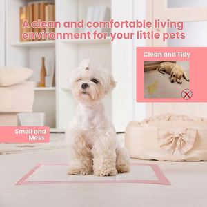 HengJia Stock Tapis d'apprentissage de la propreté pour chiens et animaux de compagnie, pour l'intérieur, avec plateau et surface en herbe synthétique - Product Image 1