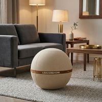 Housse de ballon de Pilates et de yoga écologique et lavable, housse de ballon d'équilibre, projecteur de ballon de stabilité pour le bureau, la maison et la salle de sport