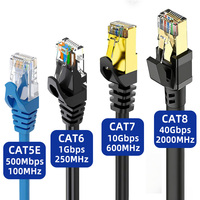 Câble réseau Ethernet RJ45 Cat5e UTP 100 Mbps pour routeur, commutateur, ordinateur, bureau, maison, OEM, ODM, usine